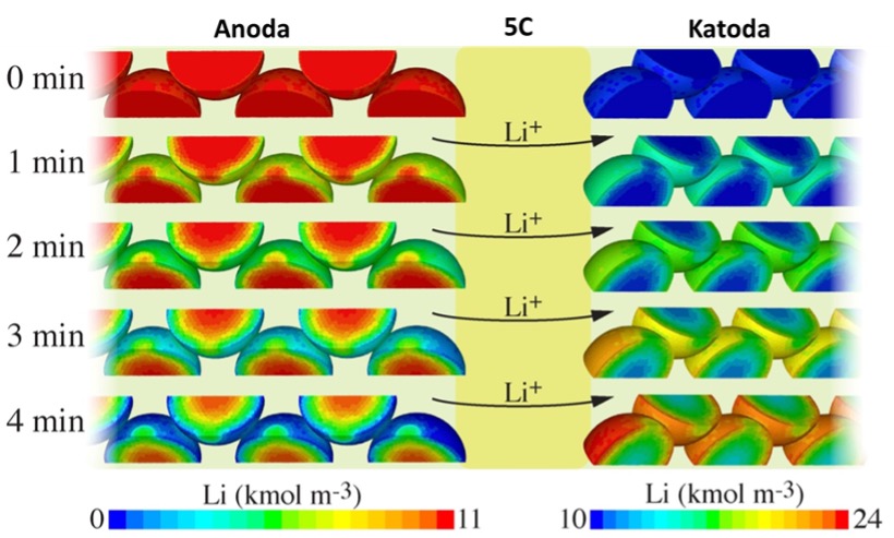 Koncentrace iontů lithia na anodě a katodě během vybíjení